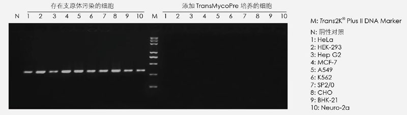 【逛展会零距离】“渝”您共赴中国细胞生物学学会2021年全国学术大会