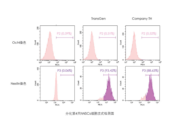 喜讯：全式金获一项发明专利授权--“一种用于人神经系统细胞培养和人多能性干细胞向神经系统细胞分化的营养添加剂”