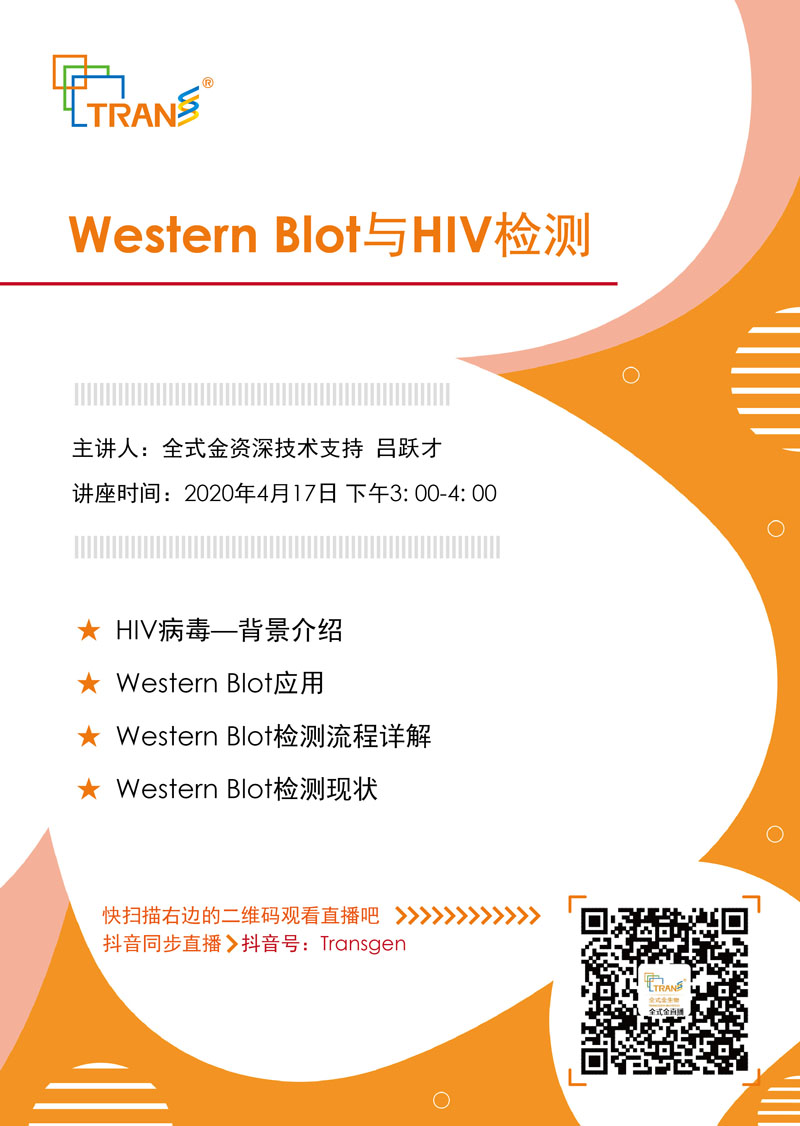 【讲座直播】Western Blot与HIV检测