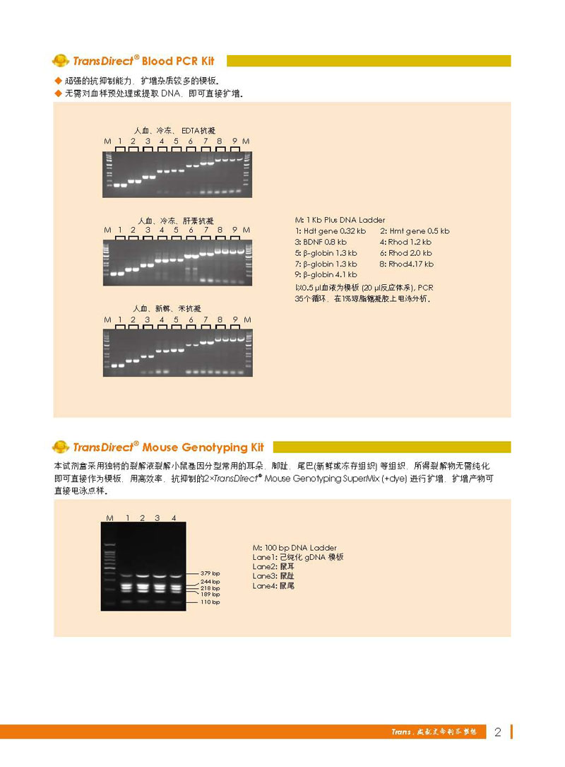 全式金年度金品展示