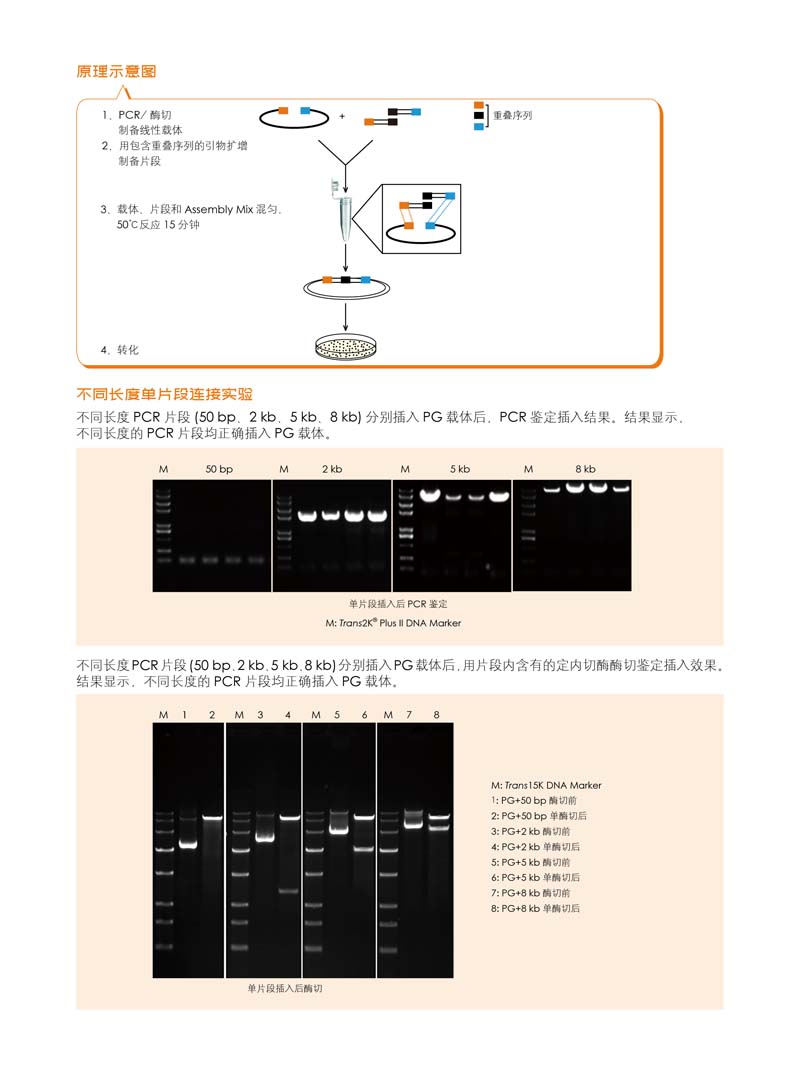 全式金生物无缝拼接产品