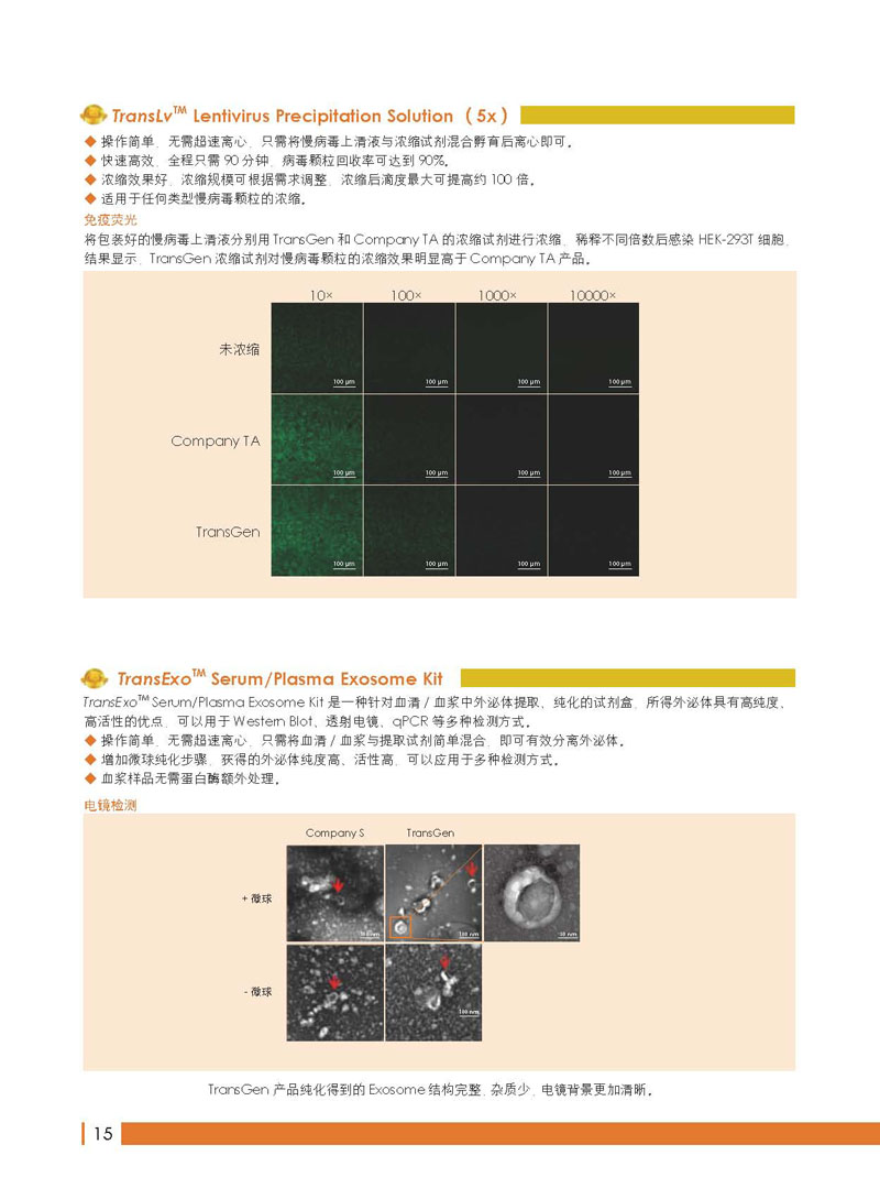 全式金年度金品展示