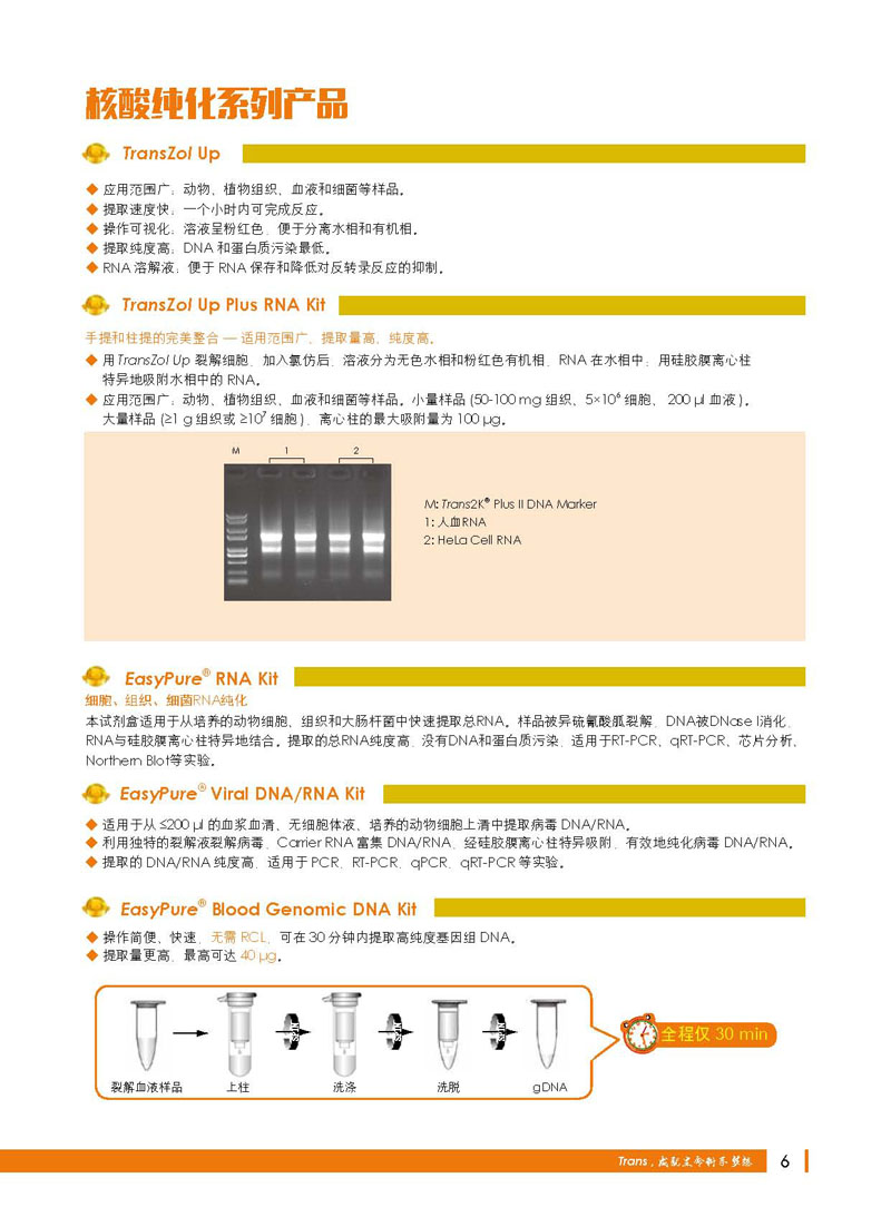 全式金年度金品展示