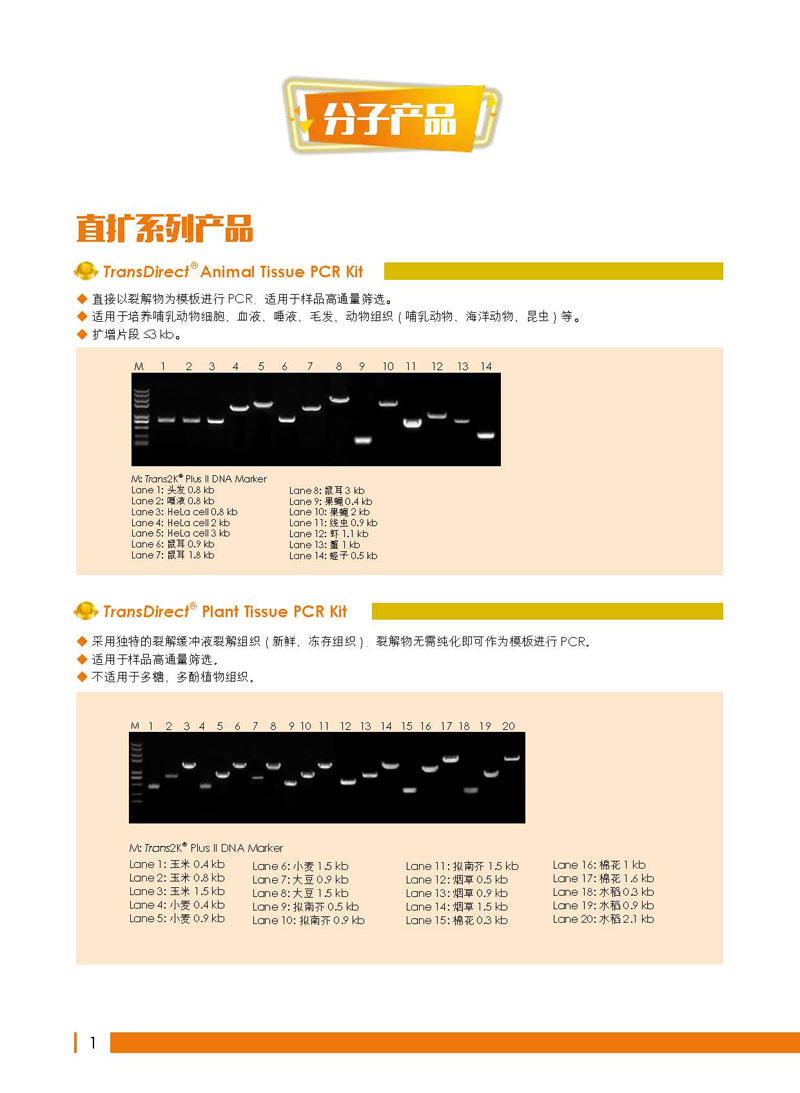 全式金年度金品展示