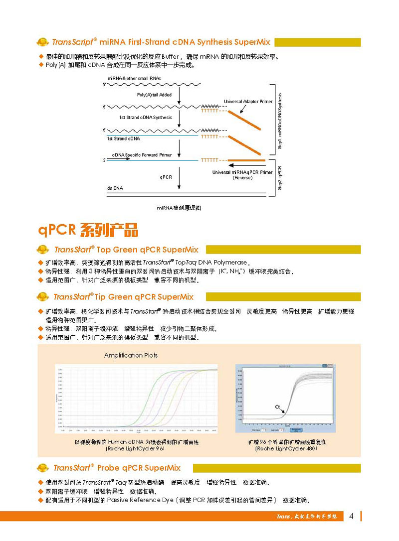 全式金年度金品展示