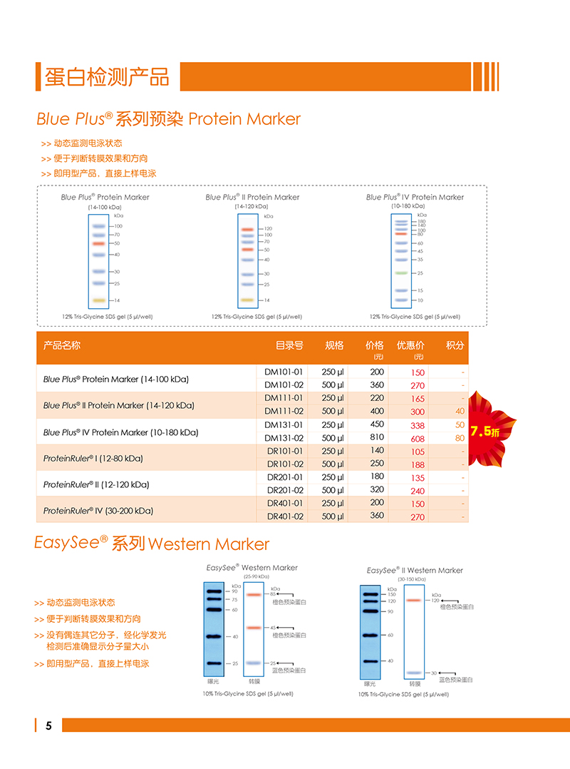 Western Blot金牌产品7.5折大促