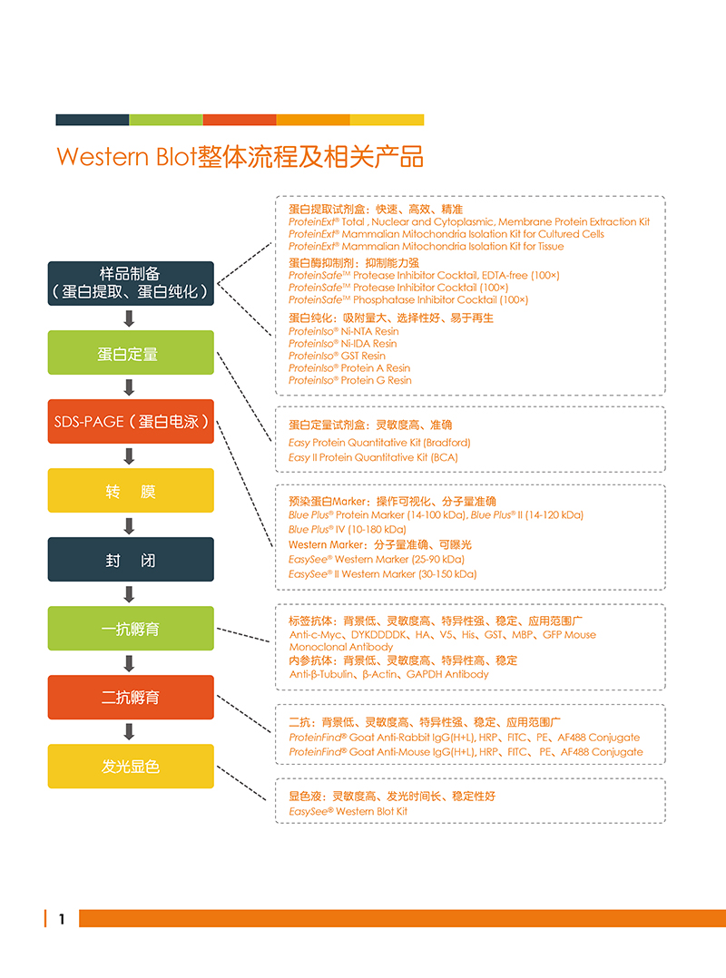 Western Blot金牌产品7.5折大促