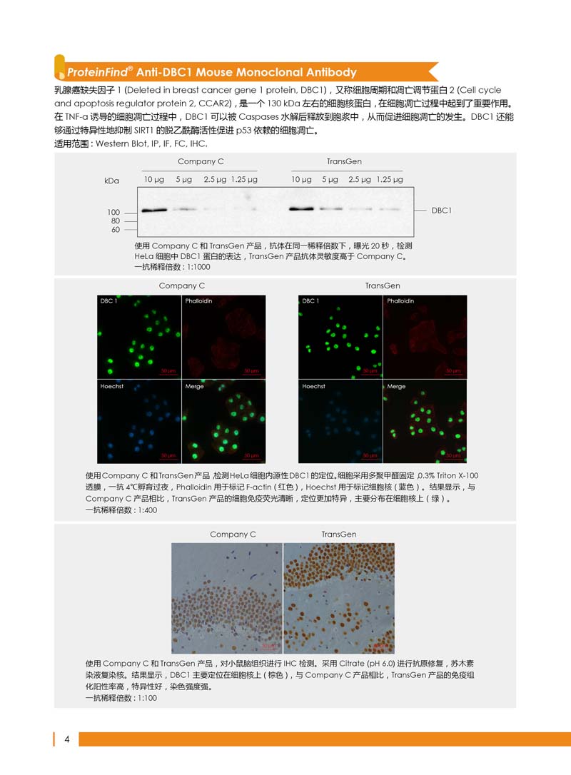 细胞生物学相关抗体新品上市 7.5折钜惠