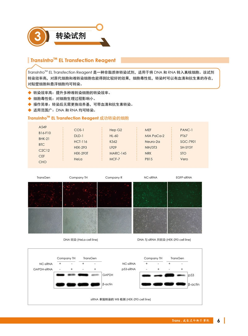 全式金生物礼惠金秋