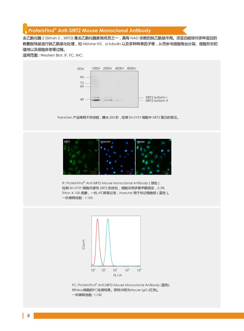 细胞生物学相关抗体新品上市 7.5折钜惠