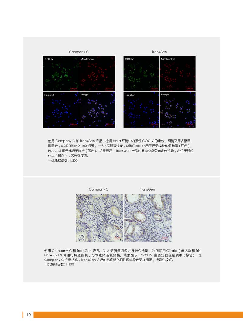 细胞生物学相关抗体新品上市 7.5折钜惠