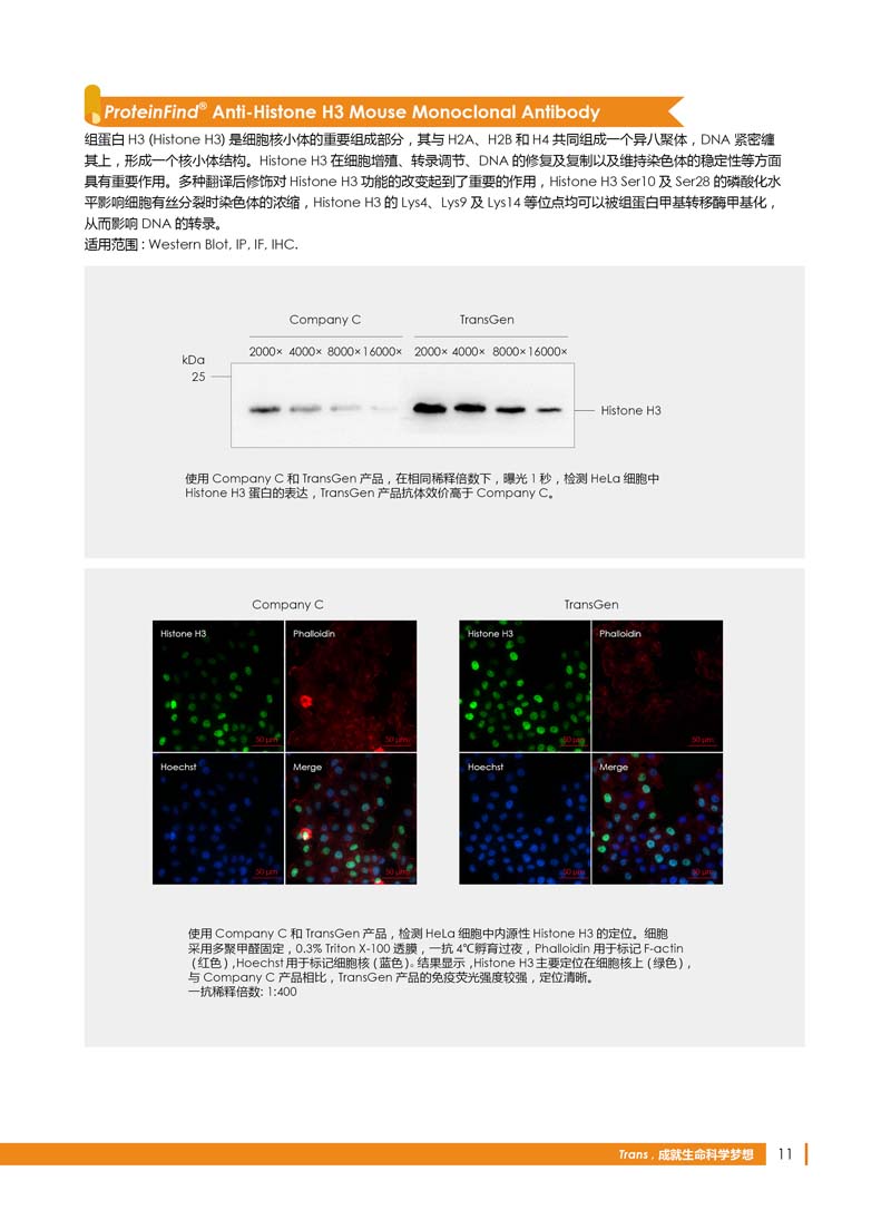 细胞生物学相关抗体新品上市 7.5折钜惠