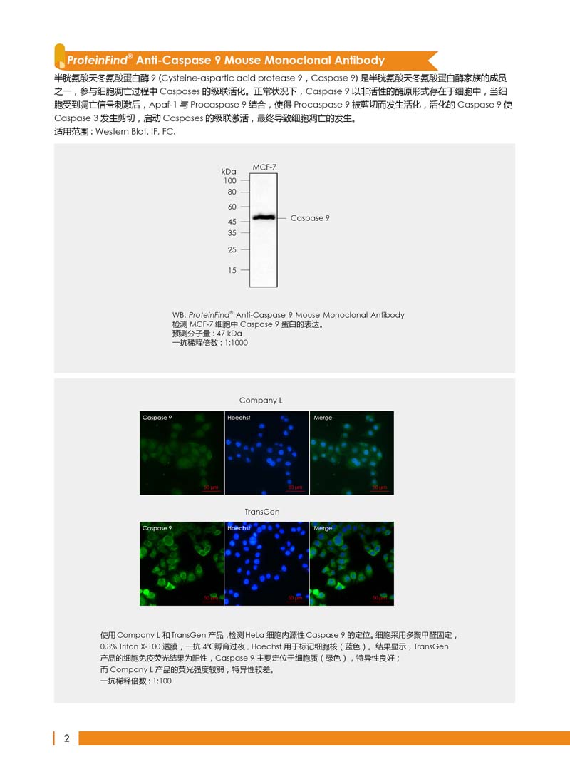 细胞生物学相关抗体新品上市 7.5折钜惠