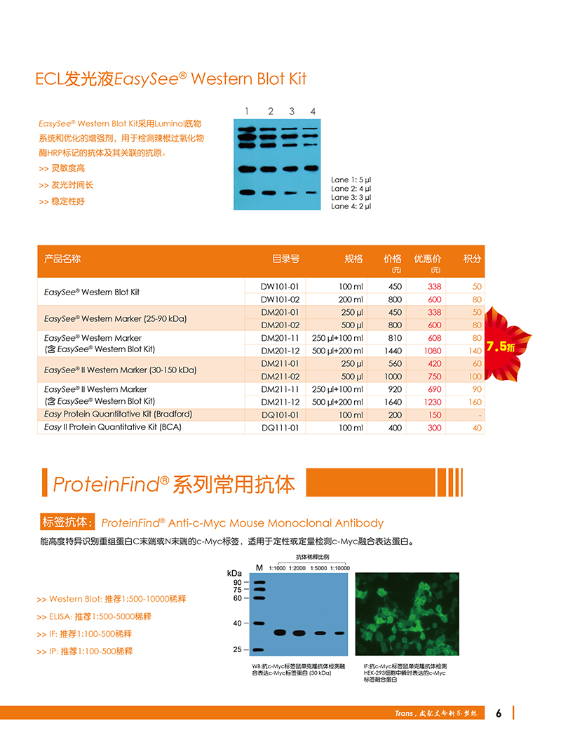 Western Blot金牌产品7.5折大促