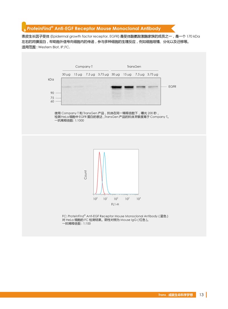 细胞生物学相关抗体新品上市 7.5折钜惠