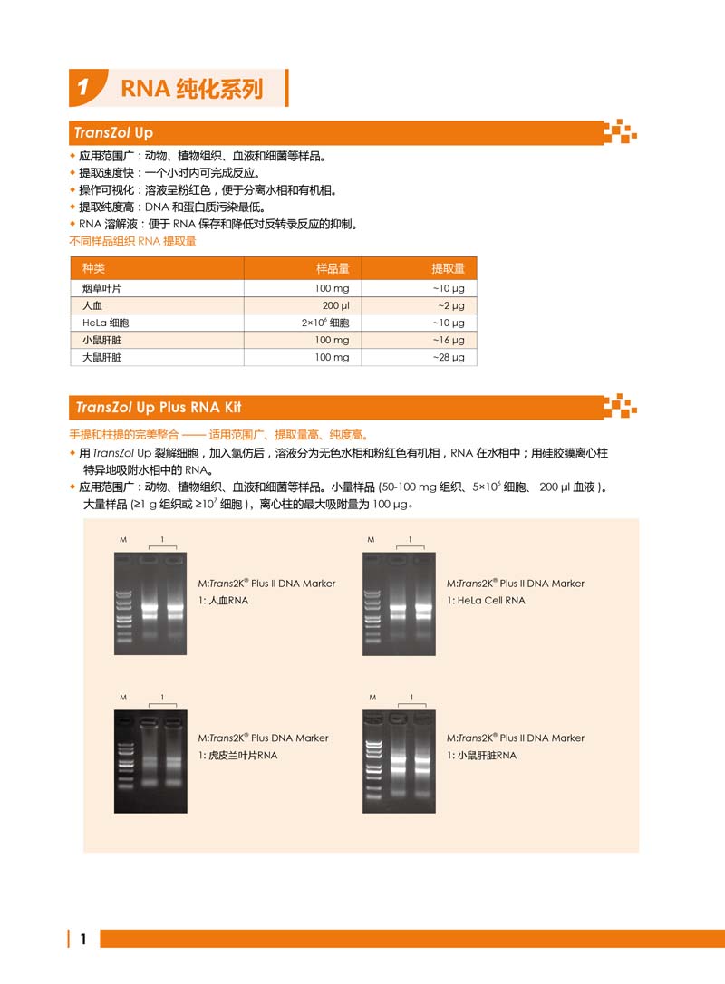 全式金明星产品