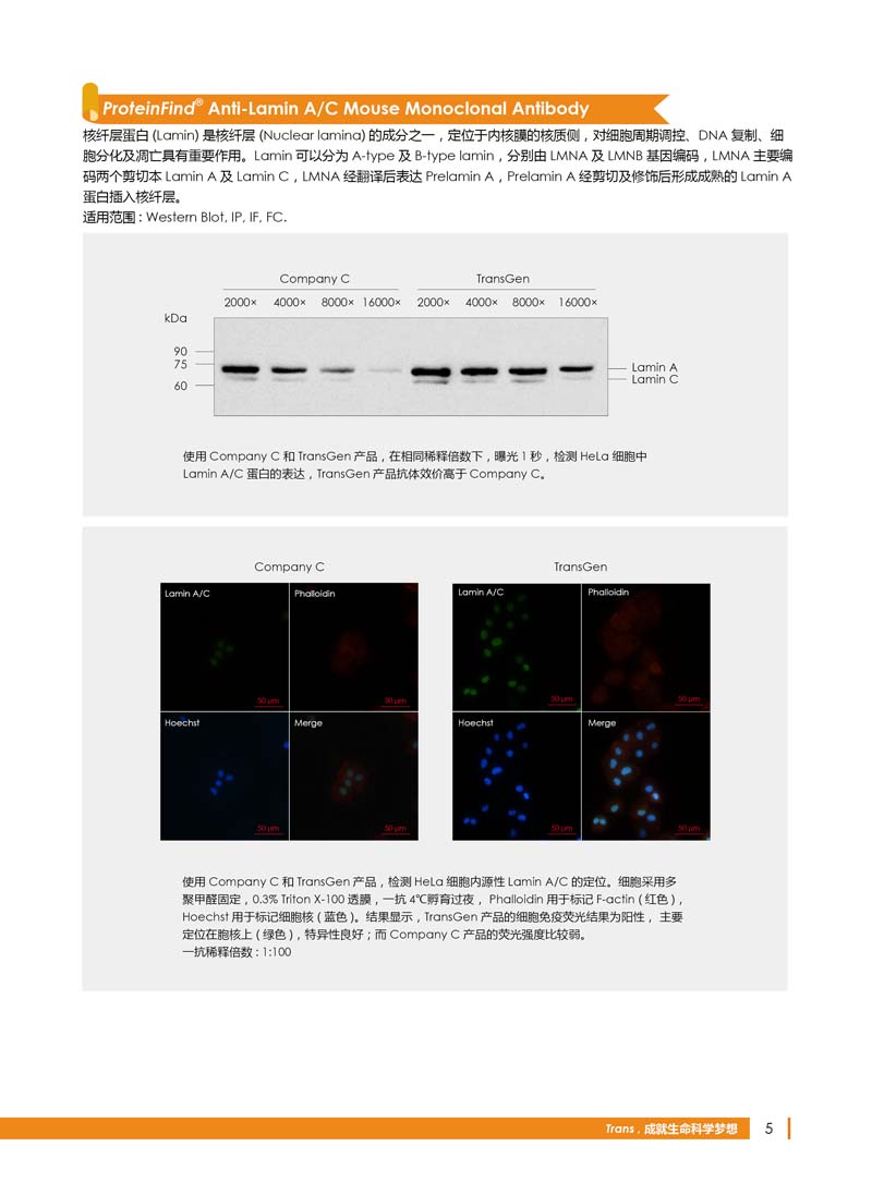 细胞生物学相关抗体新品上市 7.5折钜惠