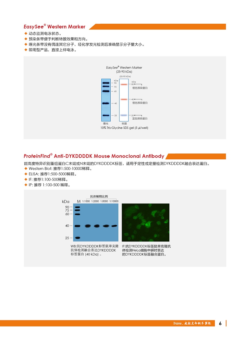 细胞生物学金牌产品7.5折大促，别错过哦