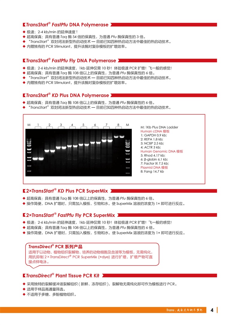 全式金 12周年庆金牌产品推荐（非北京上海广州深圳地区）