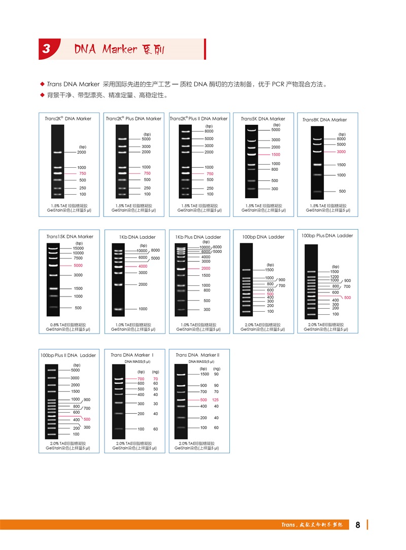 全式金 12周年庆金牌产品推荐（北京上海广州深圳地区）