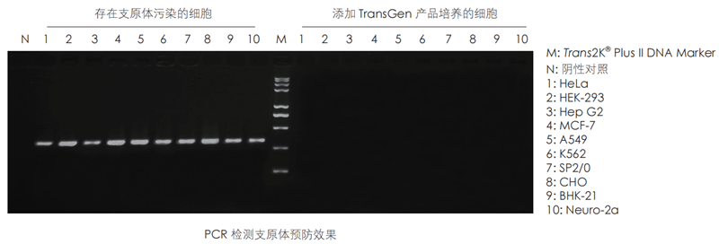 图片4_副本.png