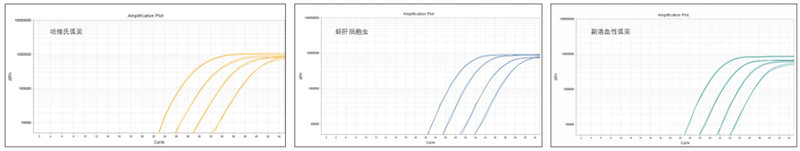 图片15_副本.png