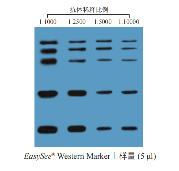 ProteinFind® Goat Anti-Mouse IgG (H+L), HRP Conjugate (HS201)