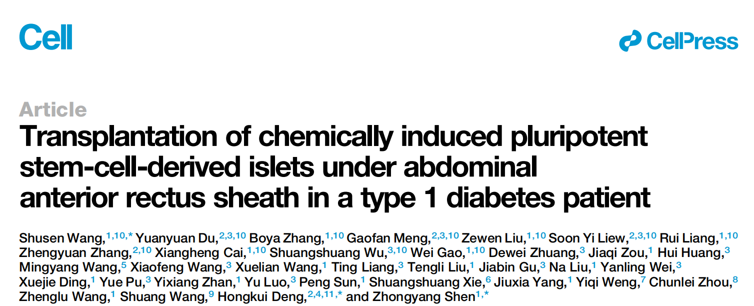 Transplantation of Chemically Induced Pluripotent Stem-Cell-Derived Islet Under Abdominal Anterior Rectus Sheath in a Type 1 Diabetes Patient